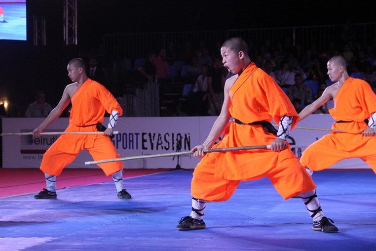 Martial Arts Festival